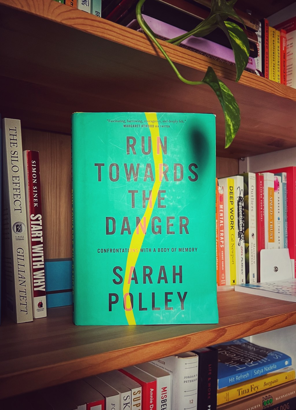 Embracing Mid-Life: Lessons from Sarah Polley’s&nbsp;Essays