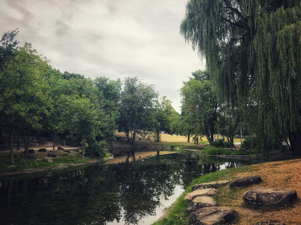 Writing Without Witness: My Year of Morning&nbsp;Pages